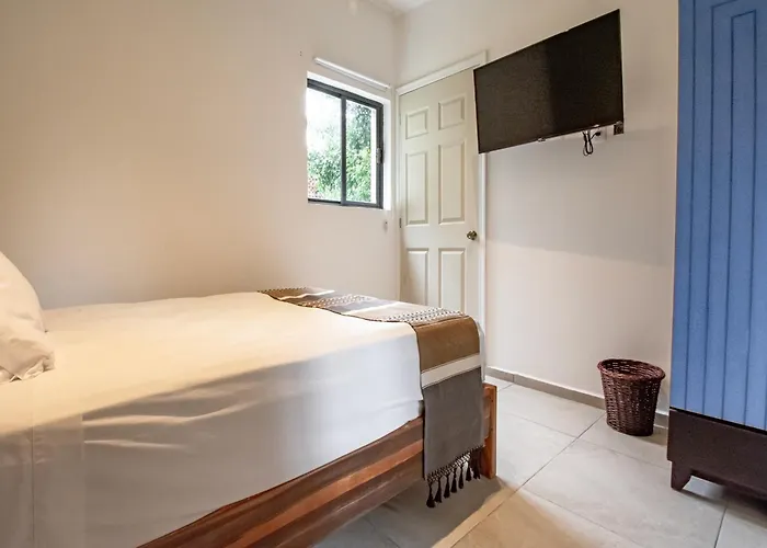 Collection O Lavanda Anzures Hotel 4*