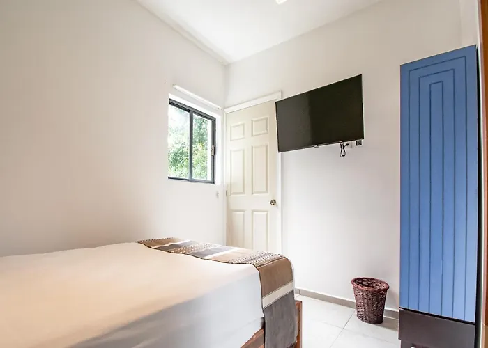 Hotel Collection O Lavanda Anzures Mexico City
