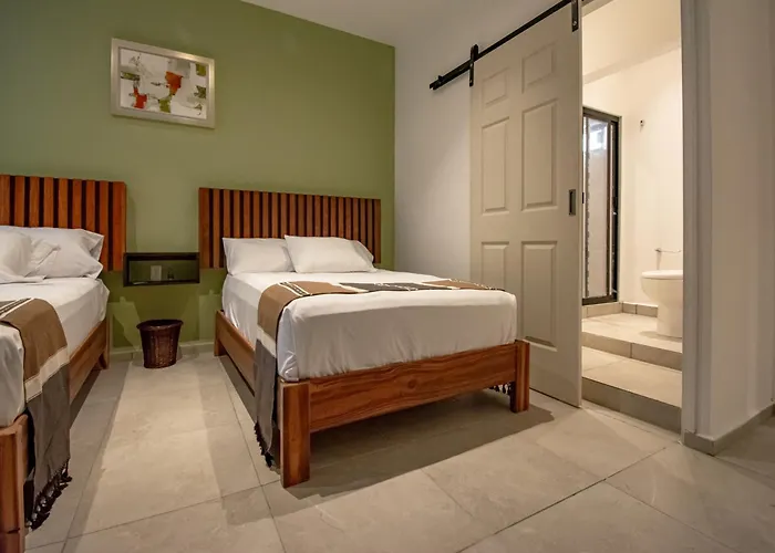 Collection O Lavanda Anzures 4*