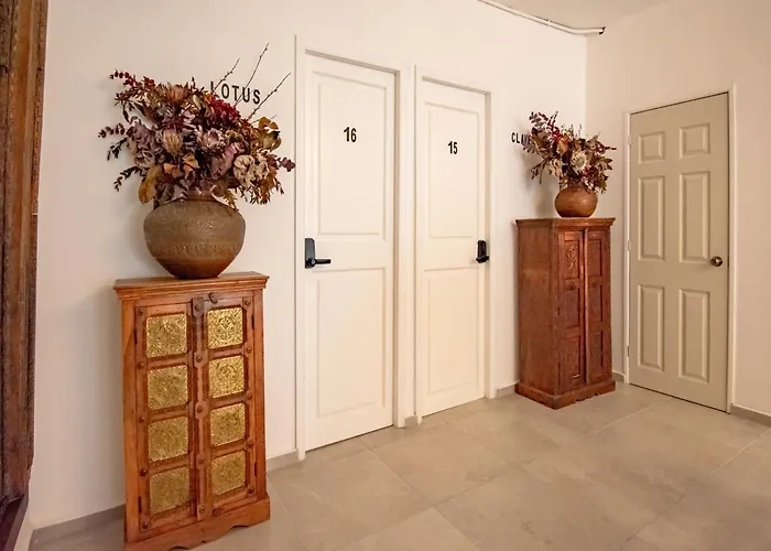Hotel Collection O Lavanda Anzures