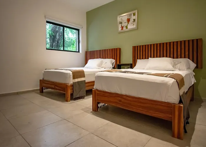 Collection O Lavanda Anzures Hotel