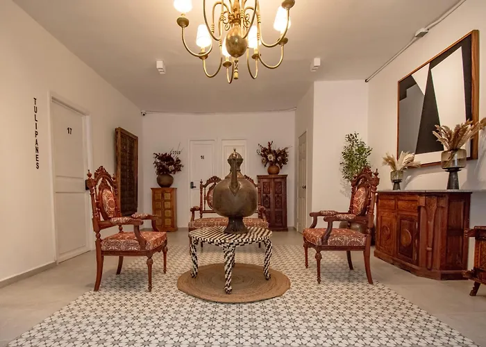 Hotel Collection O Lavanda Anzures